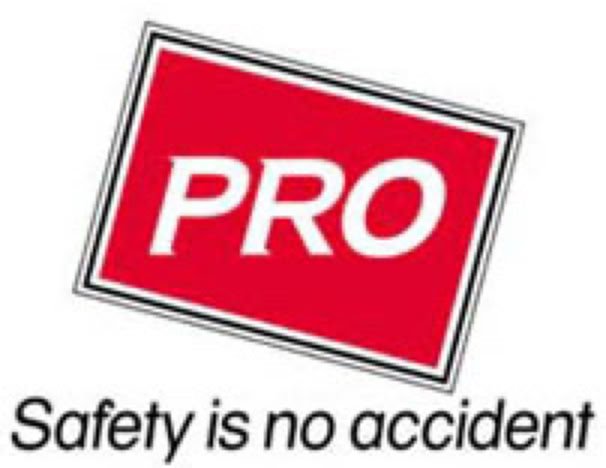 PRO Logo